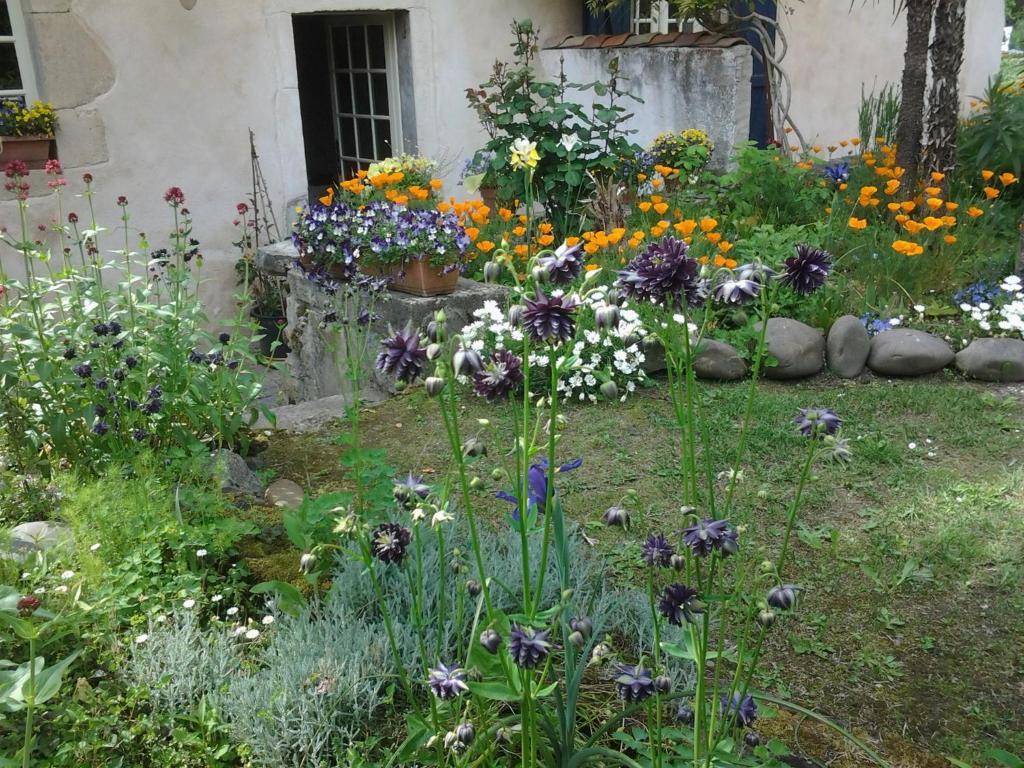 Chambres D'Hotes Aroha Sorde-lʼAbbaye 외부 사진